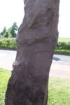 Aberlemno Stones